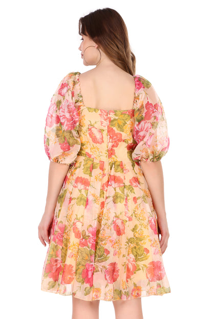 Organza Dress for Women 